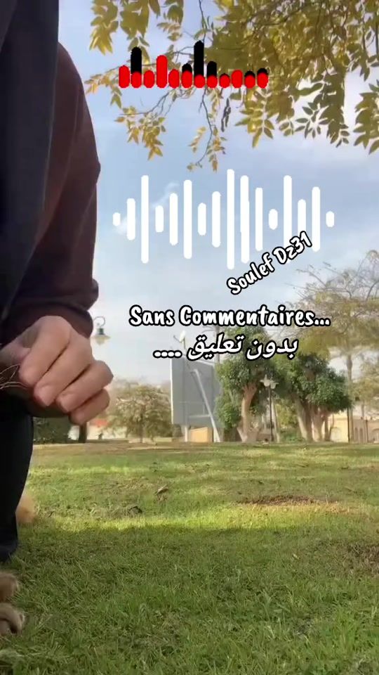 TikTok video thumbnail by slaf5837