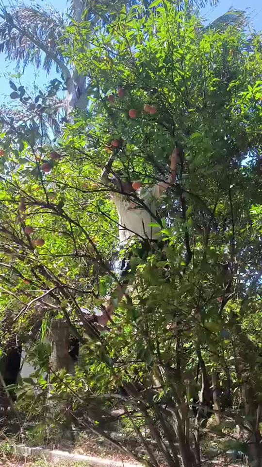 TikTok video thumbnail by joseclow