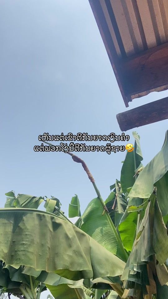 TikTok video thumbnail by 20.6.20030