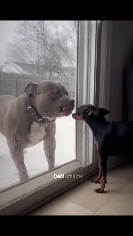 TikTok video thumbnail by babi_meme1