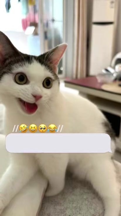 TikTok video thumbnail by funny.bone.zone4
