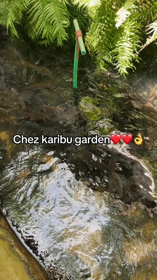 TikTok video thumbnail by tegra.wakalye