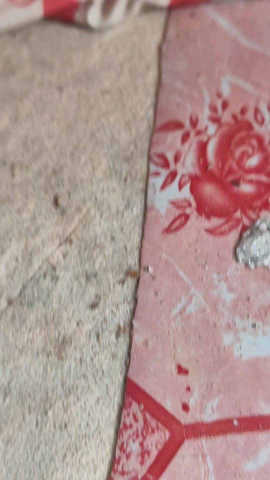 TikTok video thumbnail by bvqiz