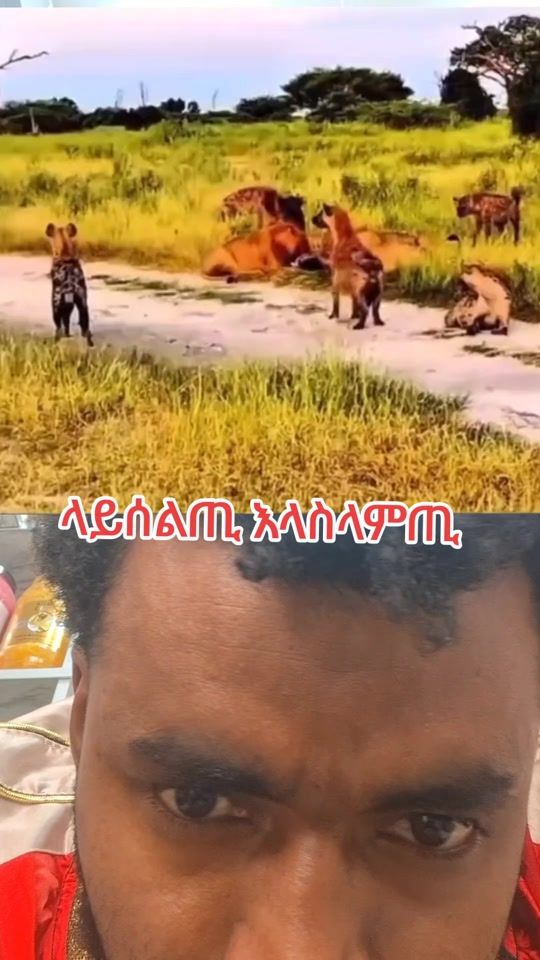 TikTok video thumbnail by abdujemal