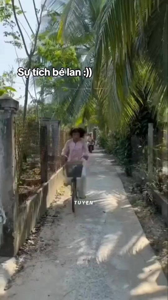 TikTok video thumbnail by nghangg09