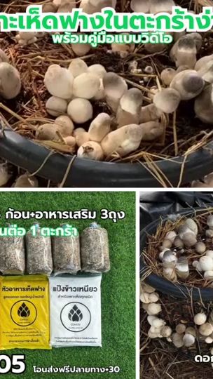 TikTok video thumbnail by chinaimport_2