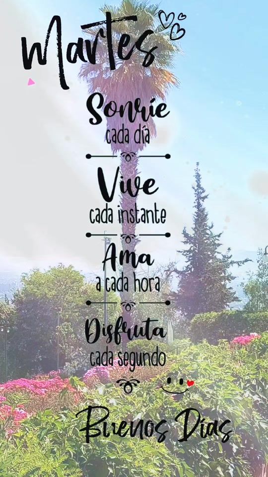 TikTok video thumbnail by frases.24.19