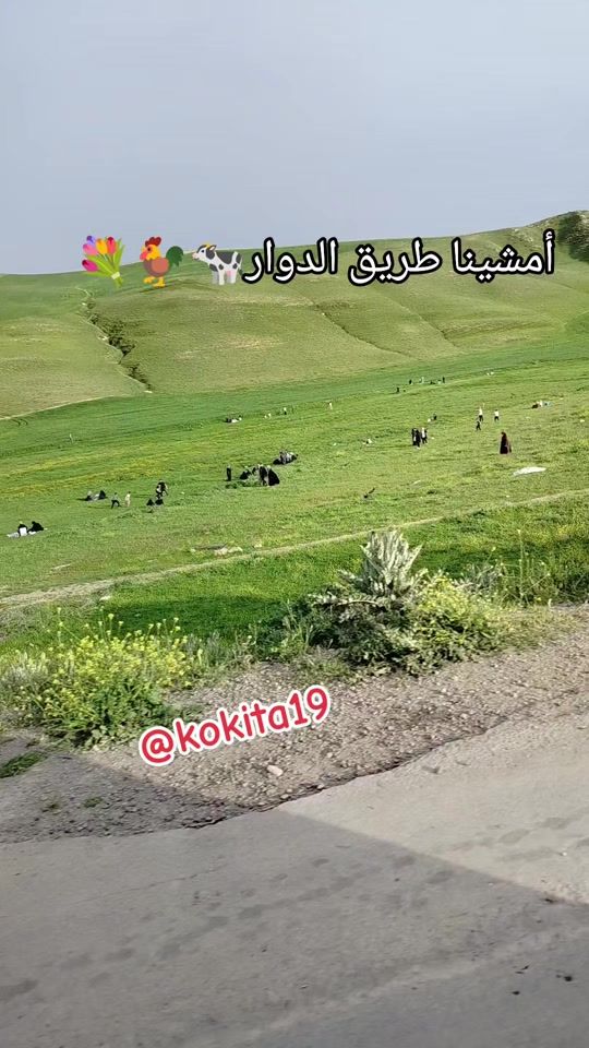 TikTok video thumbnail by setif197507