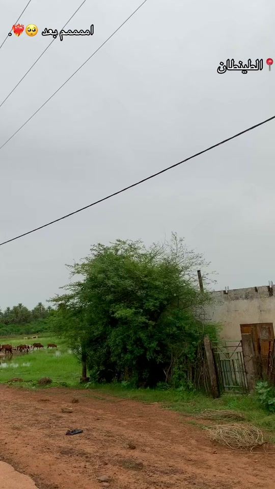 TikTok video thumbnail by havsa_islmou