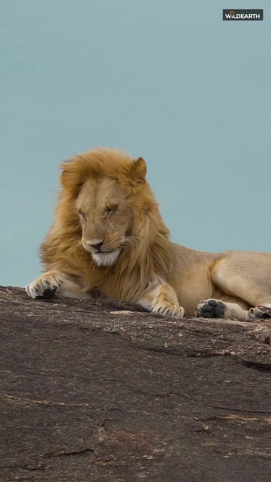 TikTok video thumbnail by kasosimakomichael