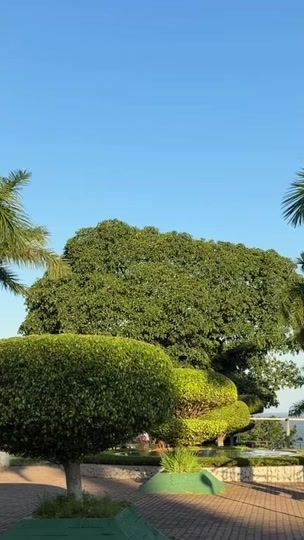 TikTok video thumbnail by valdovj