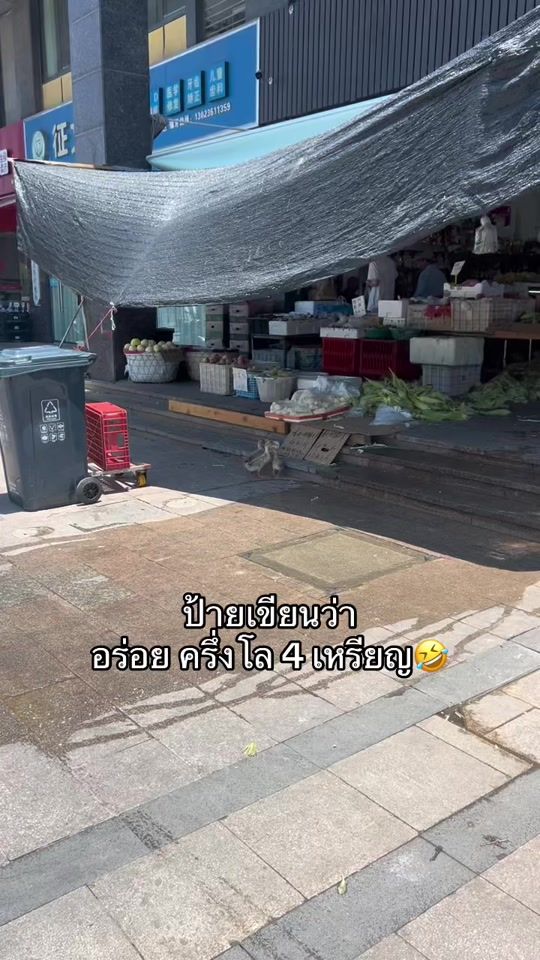 TikTok video thumbnail by chaoyang.th
