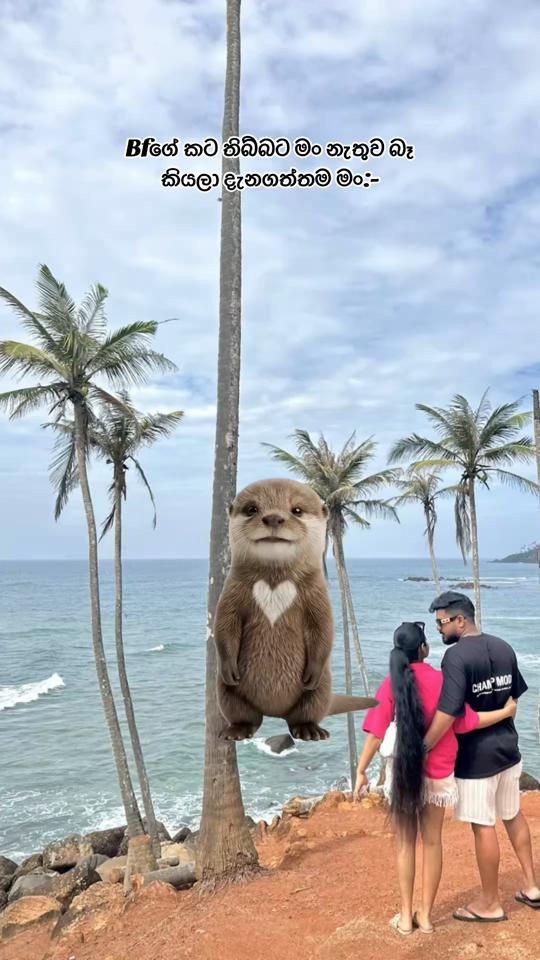 TikTok video thumbnail by hashini__s