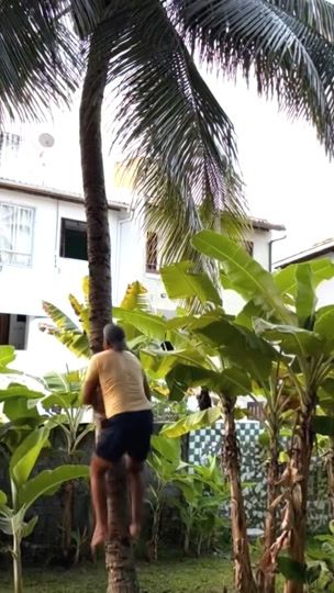 TikTok video thumbnail by thallyeleoo