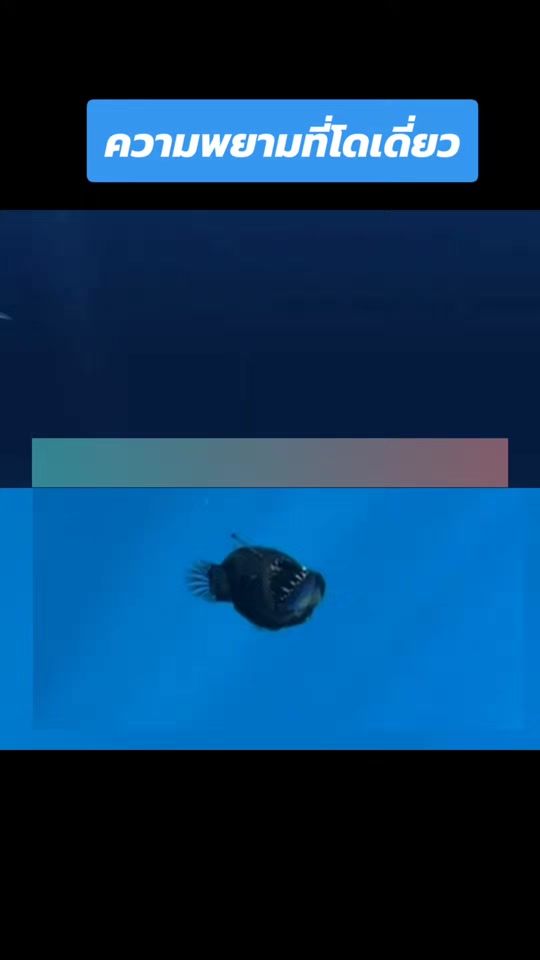 TikTok video thumbnail by consciousness1987