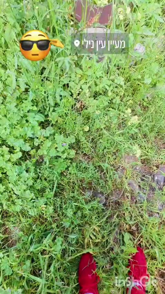 TikTok video thumbnail by hohomish