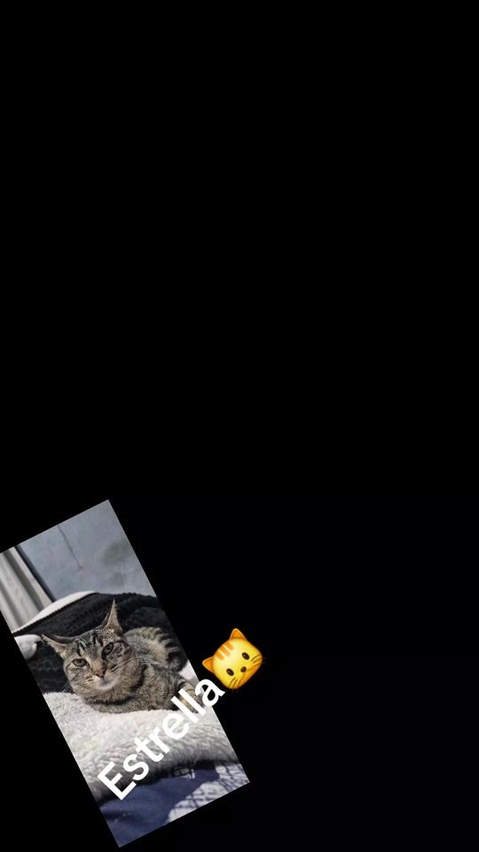 TikTok video thumbnail by ronovas11