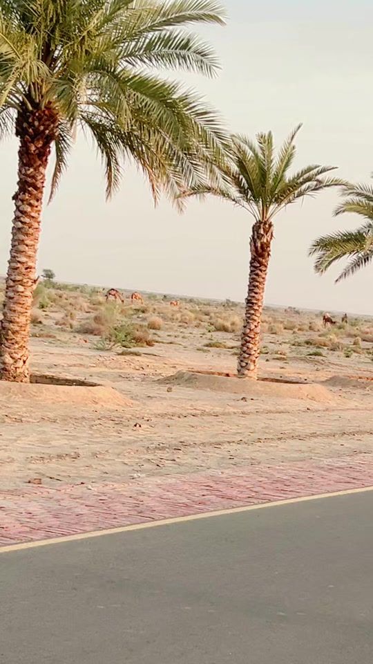 TikTok video thumbnail by iqra_ryk05