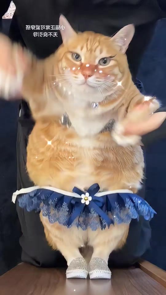 TikTok video thumbnail by rydrayn