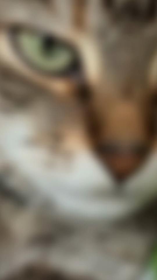 TikTok video thumbnail by marinajii