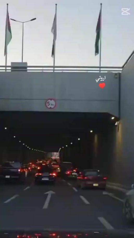 TikTok video thumbnail by shehadeh25