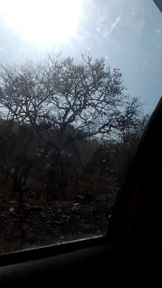 TikTok video thumbnail by kalavati56