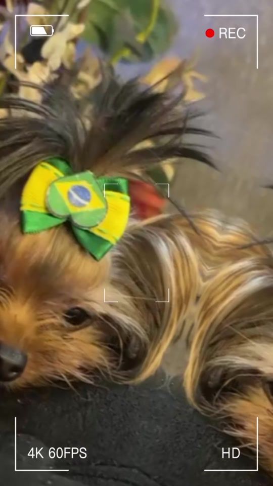 TikTok video thumbnail by cleia274