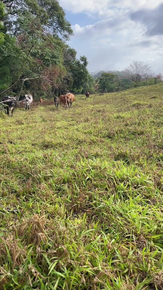 TikTok video thumbnail by hctrabarca