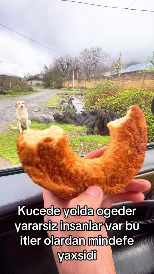 TikTok video thumbnail by _turbo_654