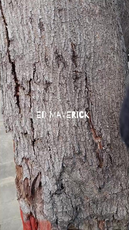 TikTok video thumbnail by esbi.crochet19