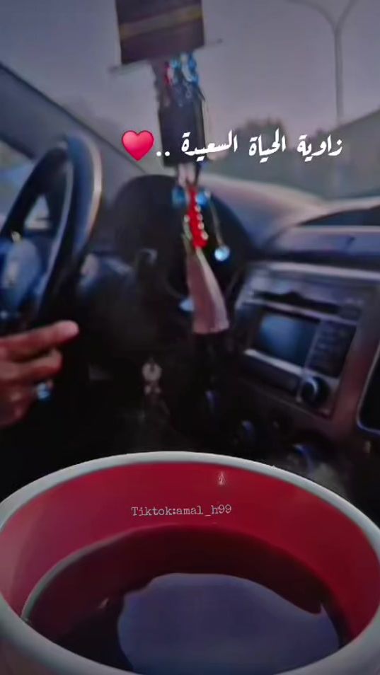 TikTok video thumbnail by amal_h99