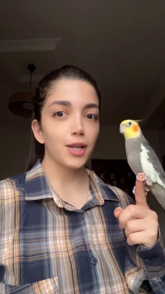 TikTok video thumbnail by shamilahassanzai