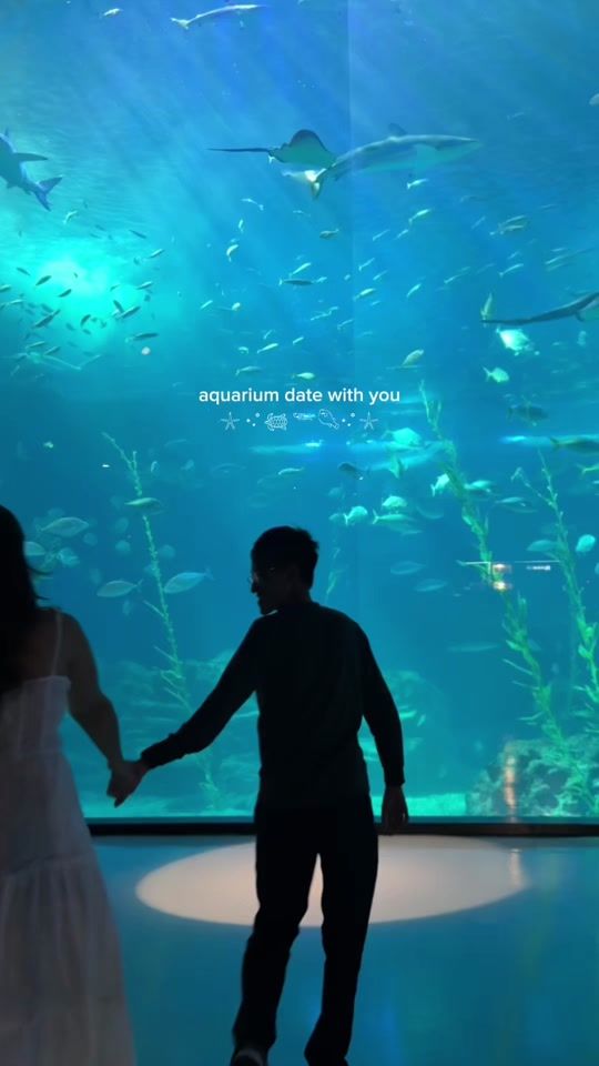 TikTok video thumbnail by carlefairy