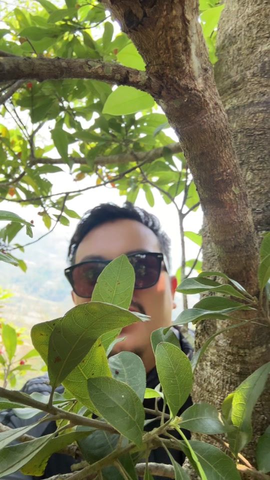 TikTok video thumbnail by bikramkhadka9