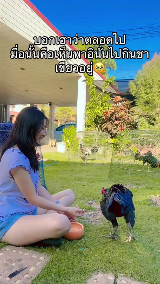 TikTok video thumbnail by muayba21