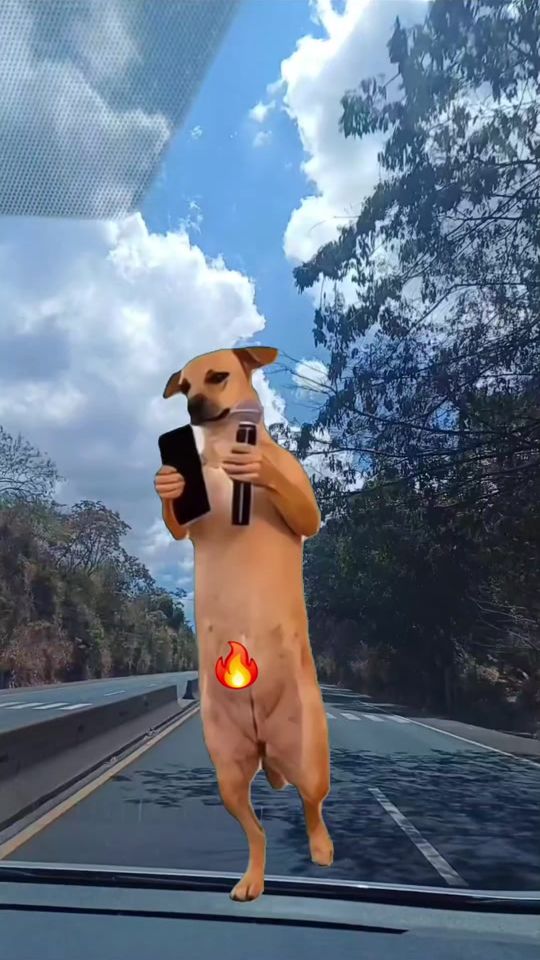 TikTok video thumbnail by hilditamor1