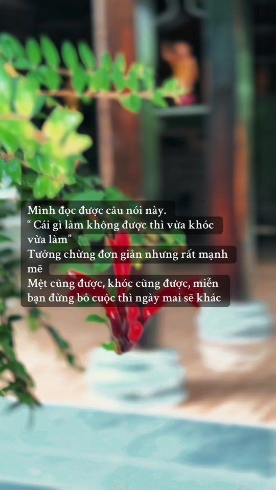 TikTok video thumbnail by tutam1420