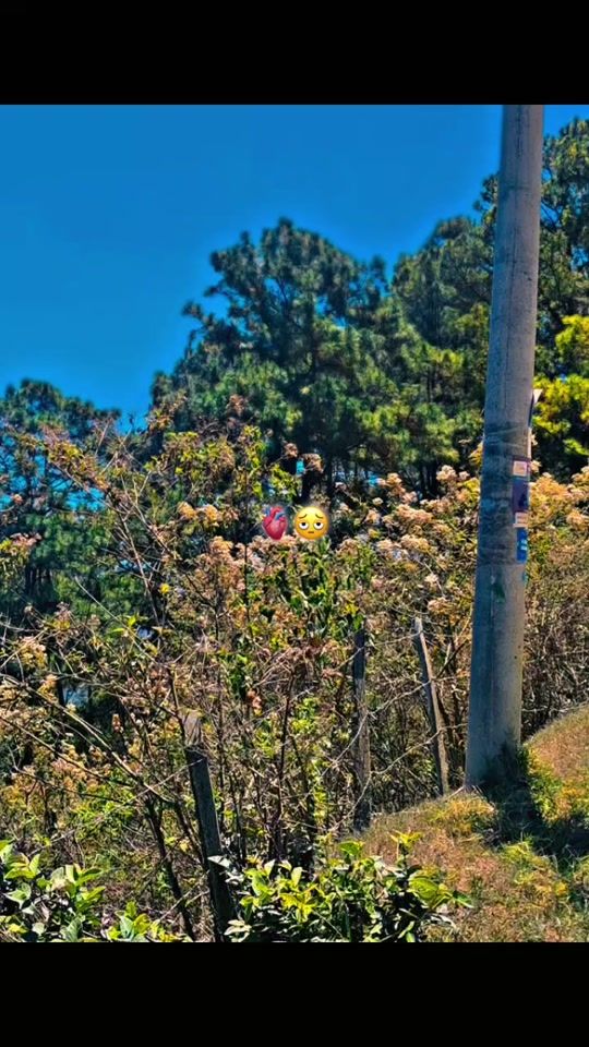 TikTok video thumbnail by dylan.hg.502
