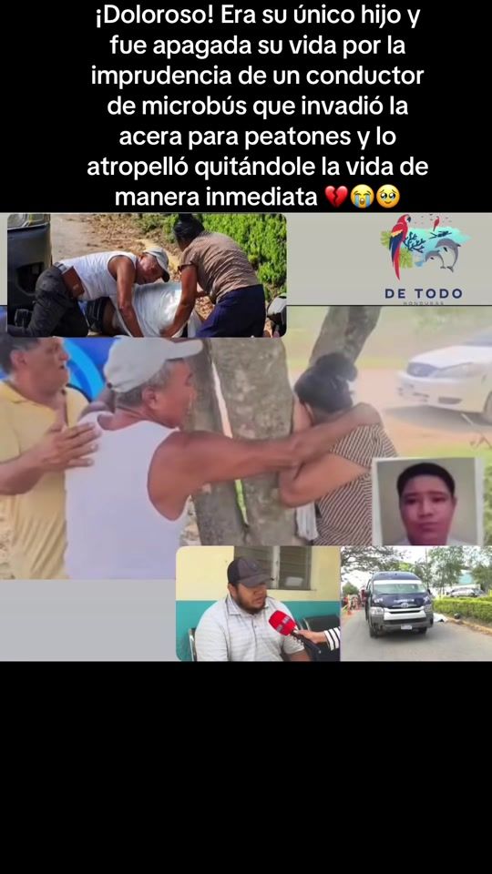 TikTok video thumbnail by lemca22