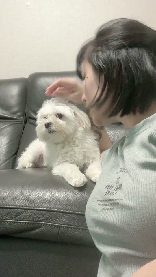 TikTok video thumbnail by s.sasi.sx
