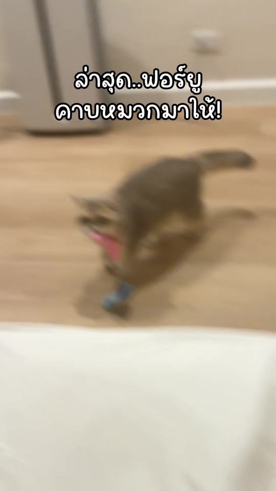 TikTok video thumbnail by forgiforfun