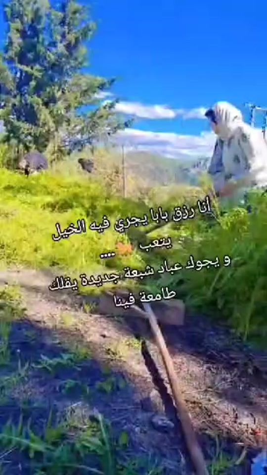 TikTok video thumbnail by sra.m5