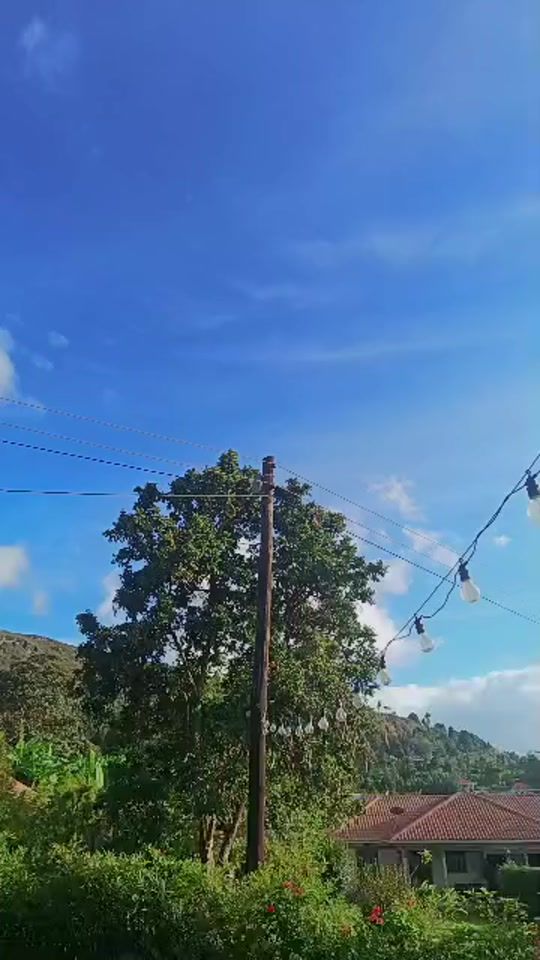 TikTok video thumbnail by shaboryme