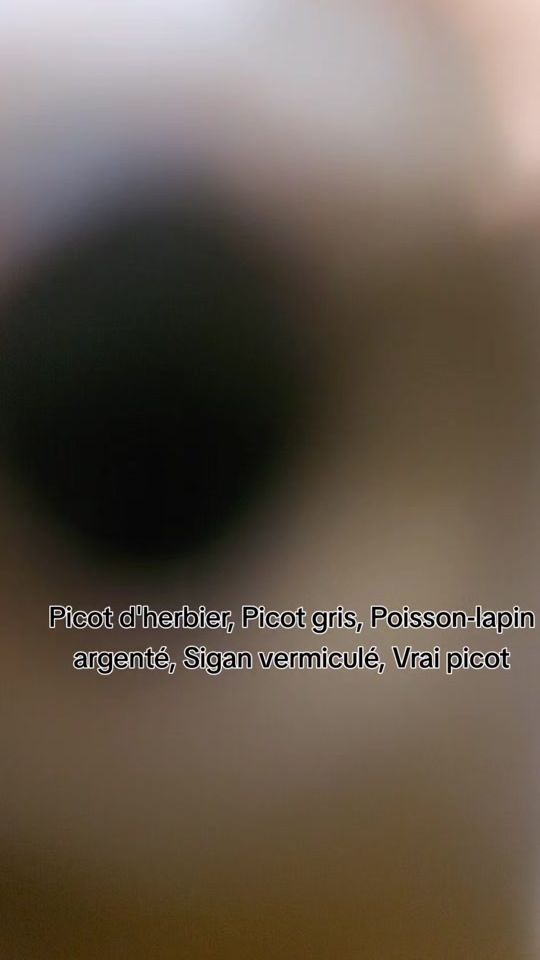 TikTok video thumbnail by kporl2
