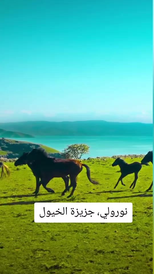 TikTok video thumbnail by rahim_al_kurdi