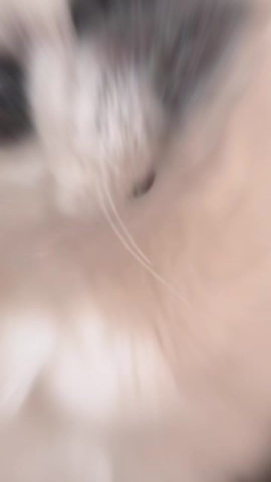 TikTok video thumbnail by aralechan0529