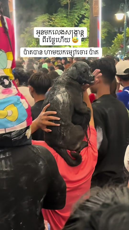 TikTok video thumbnail by hulradynarody
