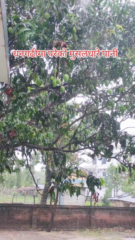 TikTok video thumbnail by chiranjibi__3