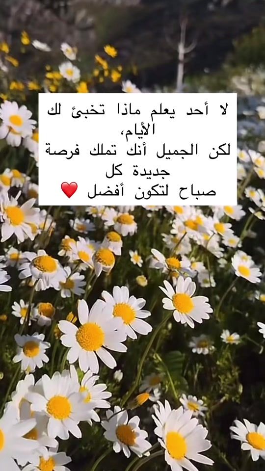TikTok video thumbnail by omyoussef097