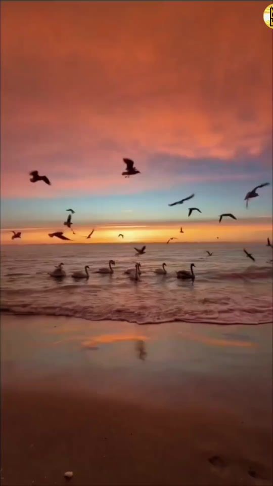 TikTok video thumbnail by sami_snam